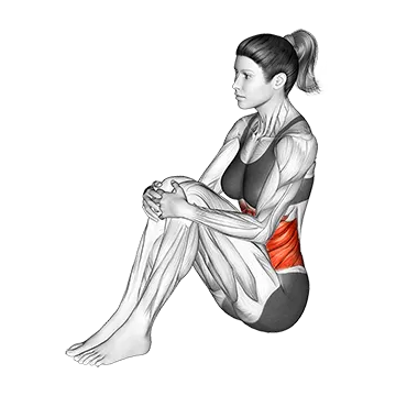 Ab mat sit up - Exclusive get you ultimate Strength for Rectus Abdominis from X health blend   Animated Exercise  Library