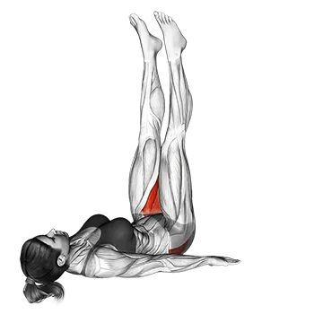 Abdominal Air Bike - Exclusive get you ultimate Strength for Rectus Abdominis from X health blend   Animated Exercise  Library
