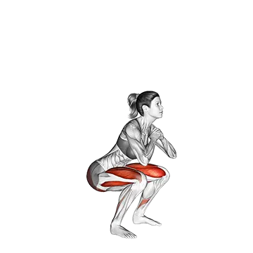 Air squat - Exclusive get you ultimate Strength for Quadriceps from X health blend   Animated Exercise  Library
