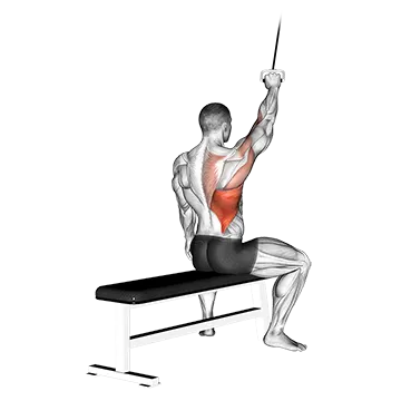 Alternate lateral pulldown