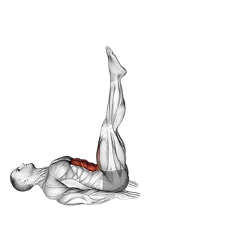 Alternate leg raise - Exclusive get you ultimate Strength for Lower Abdominals from X health blend   Animated Exercise  Library