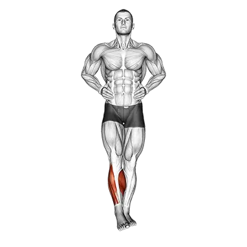 Ankle circles - Exclusive get you ultimate Stretching for Ankle from X health blend   Animated Exercise  Library