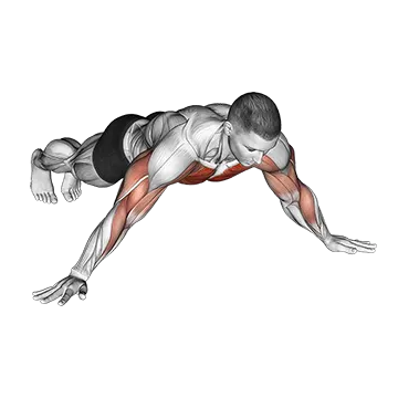 Archer push up - Exclusive get you ultimate Strength for Pectoralis from X health blend   Animated Exercise  Library
