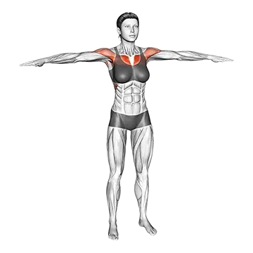 Arm crossover - Exclusive get you ultimate Stretching for Deltoids from X health blend   Animated Exercise  Library