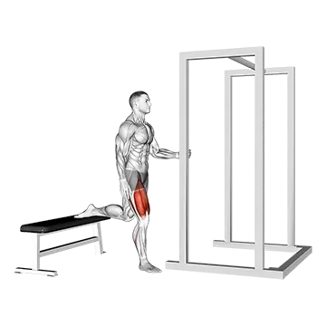 Assisted Bulgarian Split Squat - Exclusive get you ultimate Strength for Quadriceps