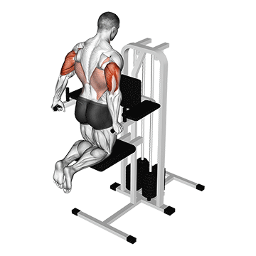 Assisted Triceps Dip - Exclusive get you ultimate Strength for Triceps from X health blend   Animated Exercise  Library