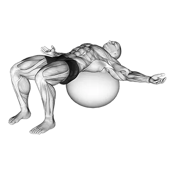 Back Relaxation - Exclusive get you ultimate Stretching for Lower Back from X health blend   Animated Exercise  Library