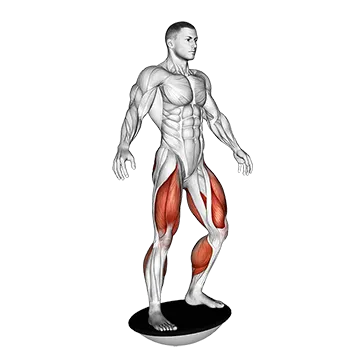 Balance Board - Exclusive get you ultimate Strength for Core from X health blend   Animated Exercise  Library