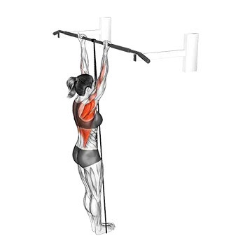 Band Assisted Chin Up - Exclusive get you ultimate Strength for Latissimus Dorsi