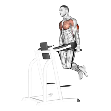 Band Assisted Dip - Exclusive get you ultimate Strength for Triceps from X health blend   Animated Exercise  Library