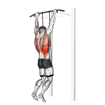 Band Assisted Pull Up