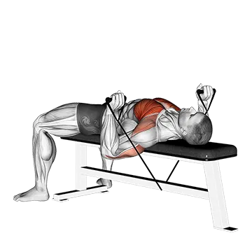 Band Bench Press - Exclusive get you ultimate Strength for Pectoralis