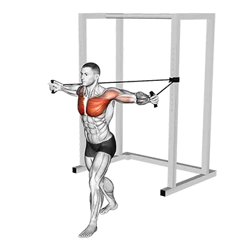 Band Chest Fly
