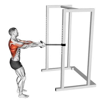 Band Close Grip Row - Exclusive get you ultimate Strength for Latissimus Dorsi