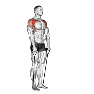 Band Front Raise - Exclusive get you ultimate Strength for Anterior Deltoids from X health blend   Animated Exercise  Library