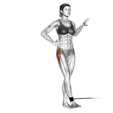 Band Hip Abduction - Exclusive get you ultimate Strength for Gluteus Medius