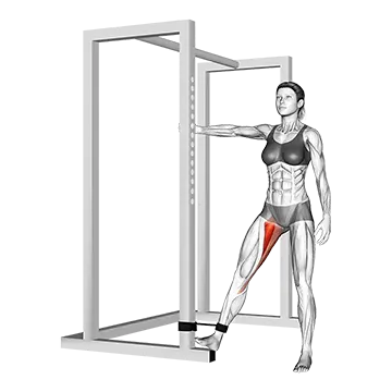 Band Hip Adduction