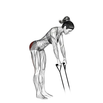 Band Hip Extension - Exclusive get you ultimate Strength for Gluteus Maximus from X health blend   Animated Exercise  Library