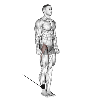 Band Hip Flexion