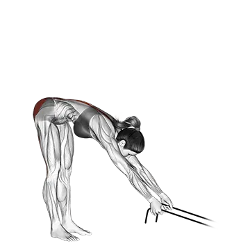 Band Hyperextension - Exclusive get you ultimate Strength for Erector Spinae