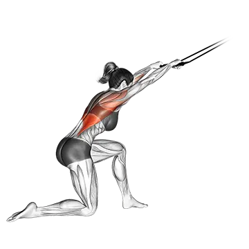 Band Kneeling Pulldown - Exclusive get you ultimate Strength for Latissimus Dorsi from X health blend   Animated Exercise  Library