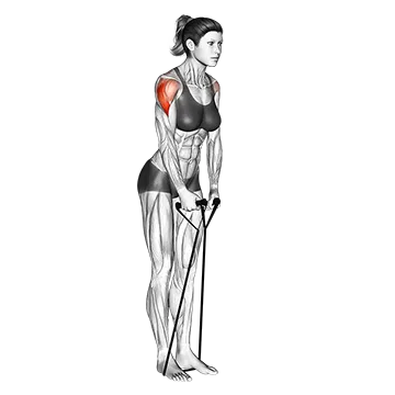 Band Lateral Raise - Exclusive get you ultimate Strength for Lateral Deltoids from X health blend   Animated Exercise  Library