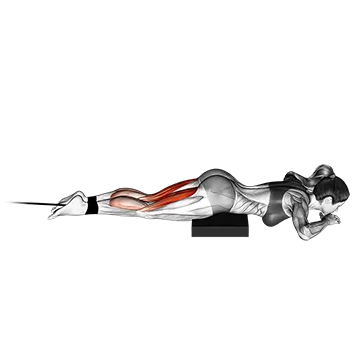 Band Lying Leg Curl - Exclusive get you ultimate Strength for Hamstrings from X health blend   Animated Exercise  Library