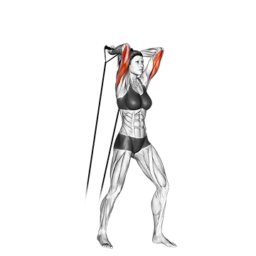 Band Overhead Triceps Extension
