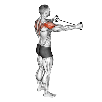 Band Pull Apart - Exclusive get you ultimate Strength for Rhomboids