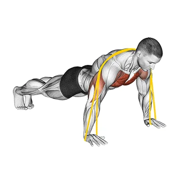 Band Push-Up