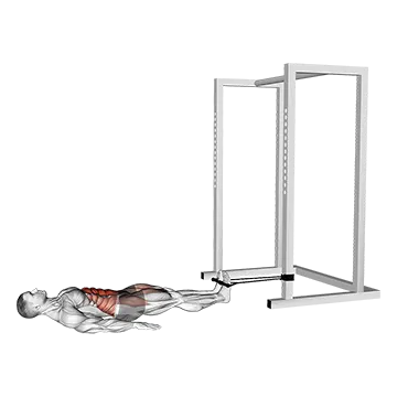 Band Reverse Crunch - Exclusive get you ultimate Strength for Rectus Abdominis from X health blend   Animated Exercise  Library