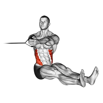 Band Seated Twist - Exclusive get you ultimate Strength for Obliques from X health blend   Animated Exercise  Library