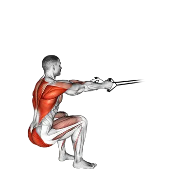 Band Squat Row - Exclusive get you ultimate Strength for Quadriceps