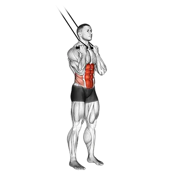 Band Standing Crunch - Exclusive get you ultimate Strength for Rectus Abdominis from X health blend   Animated Exercise  Library