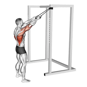 Band Straight Arm Pulldown - Exclusive get you ultimate Strength for Latissimus Dorsi from X health blend   Animated Exercise  Library