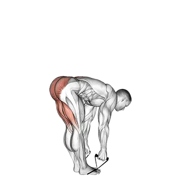 Band Straight Leg Deadlift - Exclusive get you ultimate Strength for Hamstrings