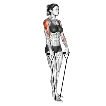 Band Upright Row - Exclusive get you ultimate Strength for Deltoids from X health blend   Animated Exercise  Library