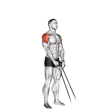 Band Y Raise - Exclusive get you ultimate Strength for Deltoids from X health blend   Animated Exercise  Library