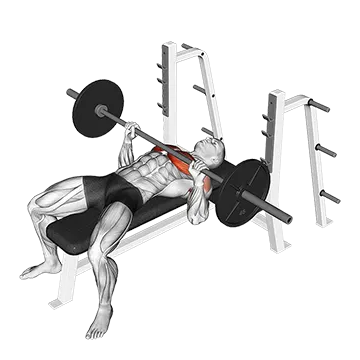 Barbell Bench Press