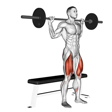 Barbell Bench Squat - Exclusive get you ultimate Strength for Quadriceps
