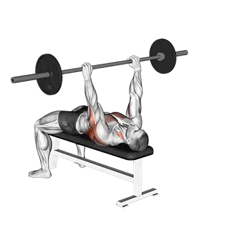 Barbell Bent Arm Pullover - Exclusive get you ultimate Strength for Pectoralis