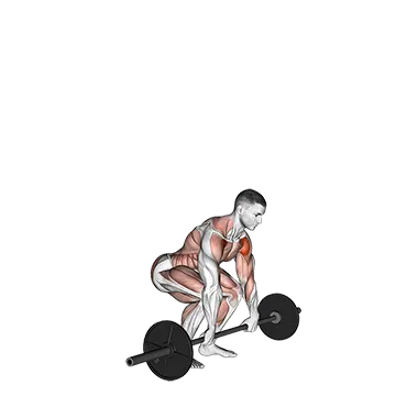 Barbell Clean and Press - Exclusive get you ultimate Strength for Quadriceps