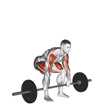 Barbell Clean High Pull