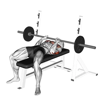 Barbell Close Grip Bench Press - Exclusive get you ultimate Strength for Pectoralis from X health blend   Animated Exercise  Library