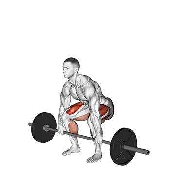 Barbell Deadlift - Exclusive get you ultimate Strength for Glutes