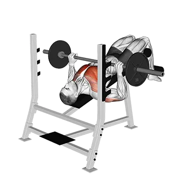 Barbell Decline Bench Press - Exclusive get you ultimate Strength for Pectoralis from X health blend   Animated Exercise  Library