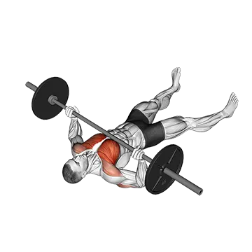 Barbell Floor Chest Press - Exclusive get you ultimate Strength for Pectoralis from X health blend   Animated Exercise  Library