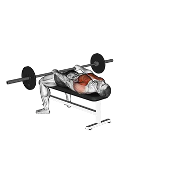 Barbell Front Raise and Pullover - Exclusive get you ultimate Strength for Deltoids from X health blend   Animated Exercise  Library