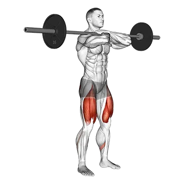 Barbell Front Squat - Exclusive get you ultimate Strength for Quadriceps