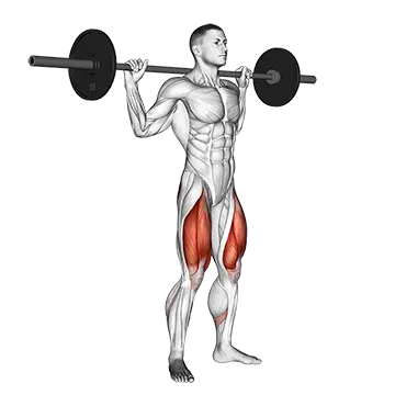 Barbell Full Squat - Exclusive get you ultimate Strength for Quadriceps